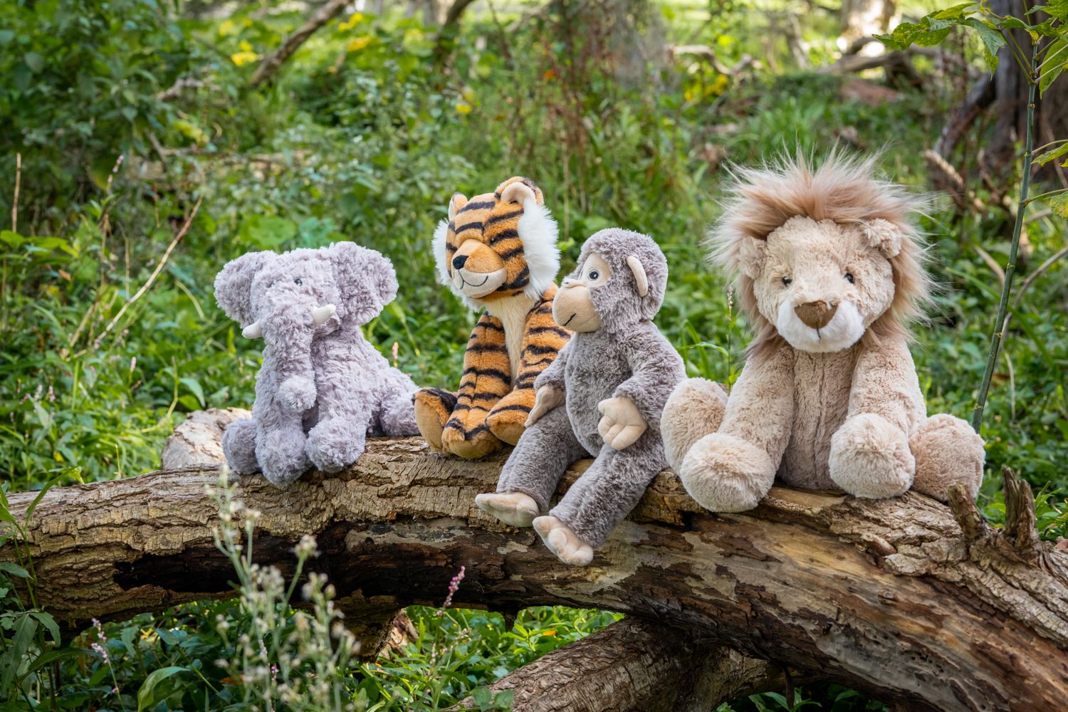 Lewis The Lion Plush Toy - Soft & Cuddly Stuffed Animal for Kids, Perfect for Bedtime, Playtime & Gifts | Ideal for Nursery Decor, Birthday Presents & Comfort Companions