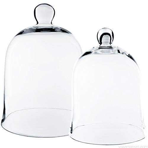 Glass Cloche Bell Jar Dome Set of 2 (16