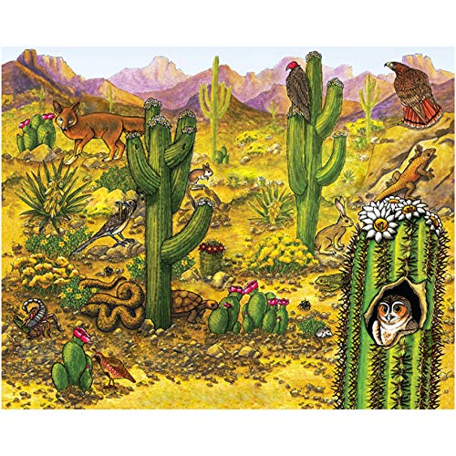 desert #2213