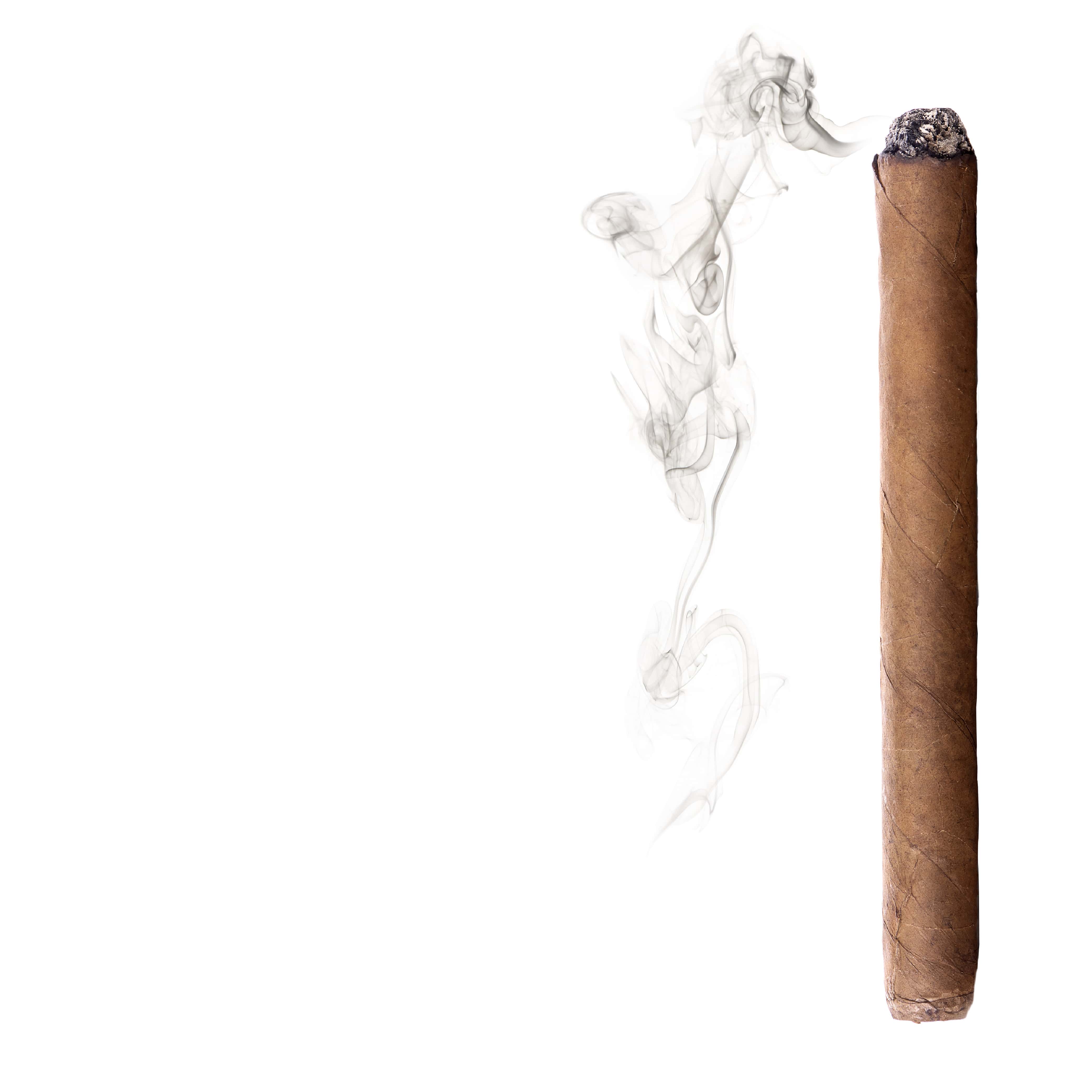 NO. 29 Cuban Tobacco Fragrance Oil - Premium Scent for Handmade Soaps, Candles & Diffusers - Long Lasting Aroma for Home, Spa & Relaxation