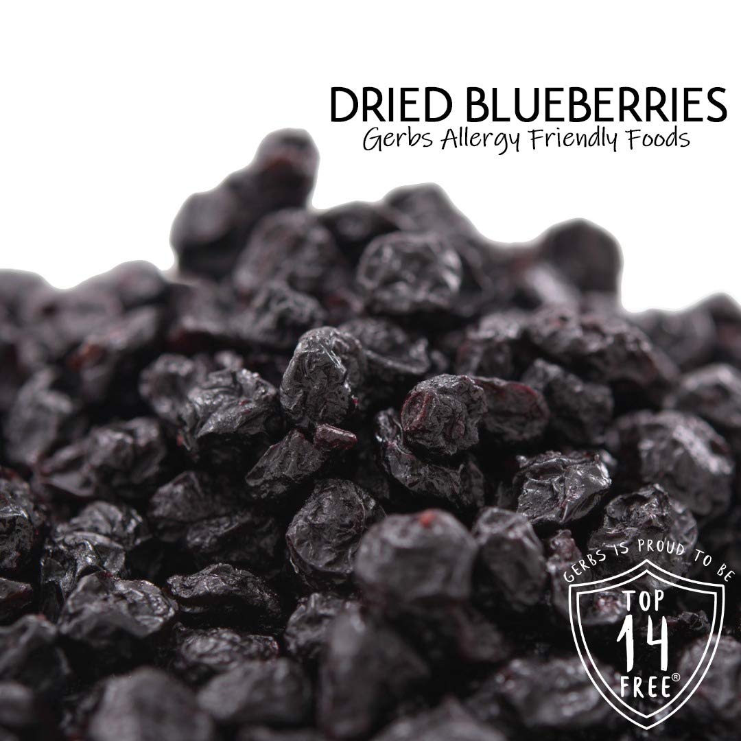 Premium Dried Cape Cod Blueberries - 10 LBS Bulk Case | Non-GMO, No Sugar Added | Perfect for Baking, Snacking & Smoothies