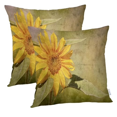Yellow Sunflower
