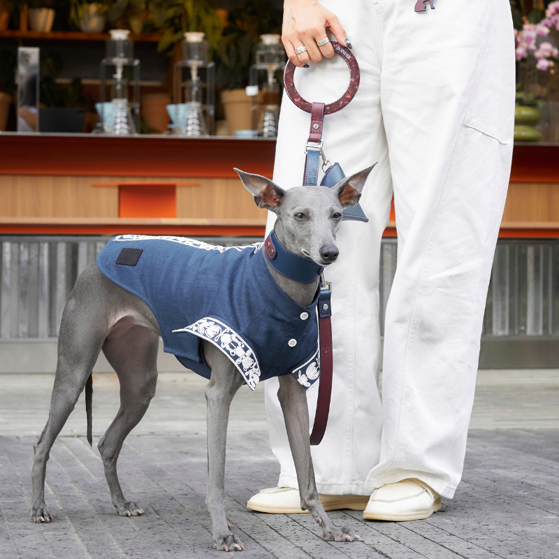 Premium Rosette Leather Dog Leash - Durable & Stylish for Small to Medium Dogs - Perfect for Daily Walks, Training & Outdoor Adventures
