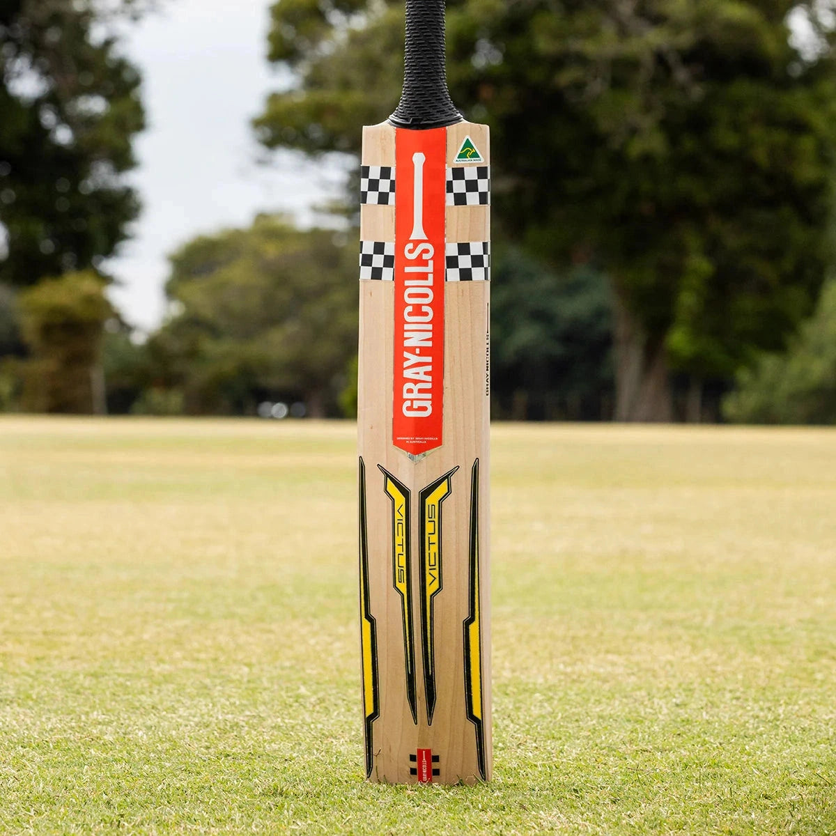 Gray Nicolls Victus Players Edition Adult Cricket Bat - Premium English Willow for Professional & Amateur Players - Perfect for Matches, Training & Practice Sessions
