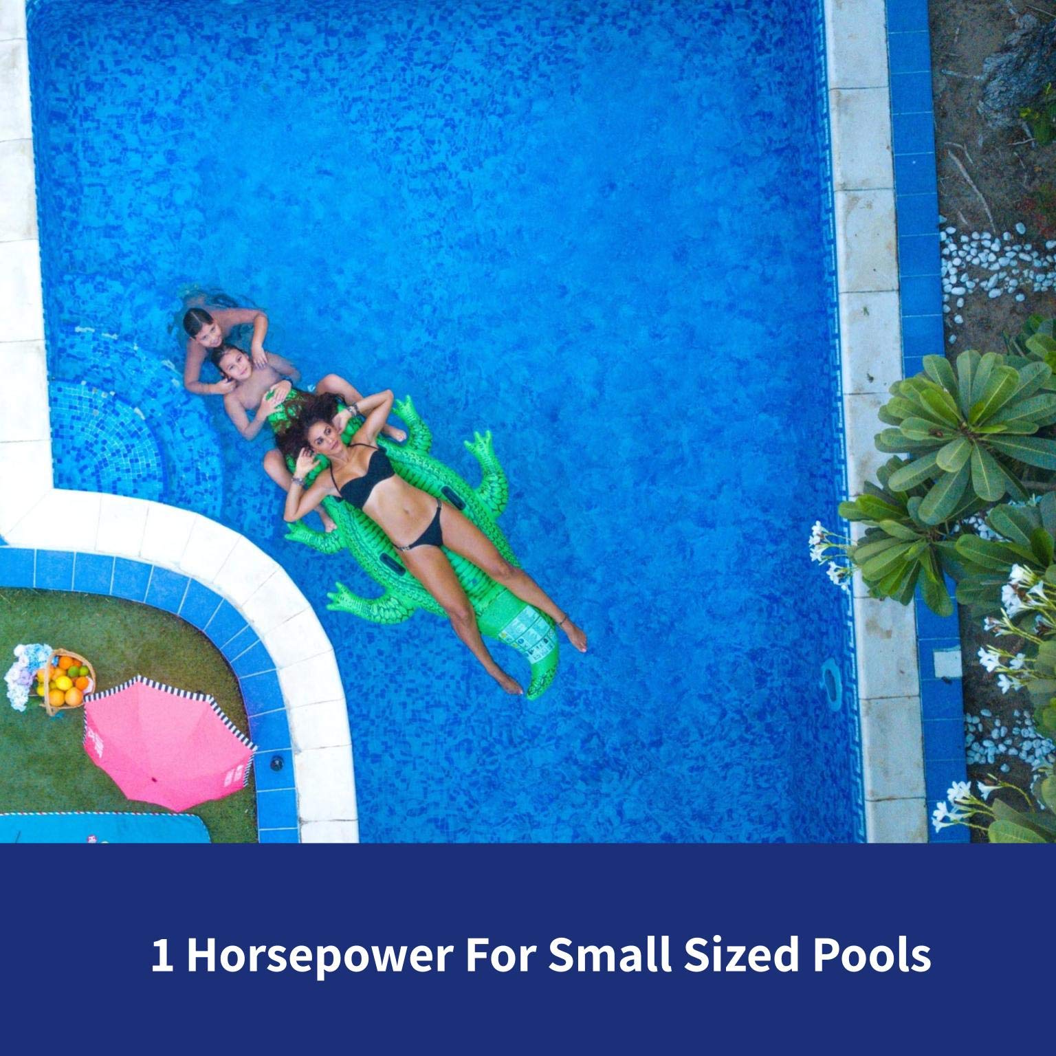 1 HP Blue Torrent Maxi Pump - Dual Port & Standard Plug - 2 Speed Adjustable Water Pump for Pools, Spas, and Fountains | High Performance & Energy Efficient