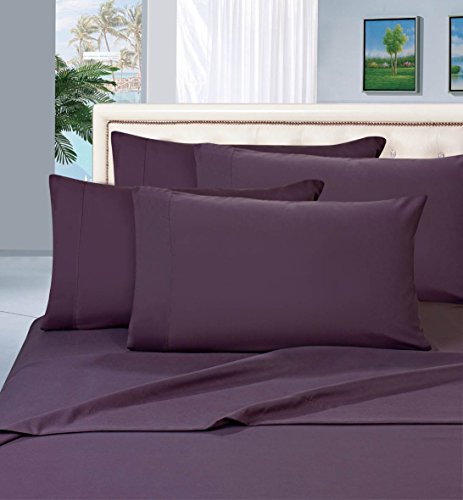 Eggplant Purple