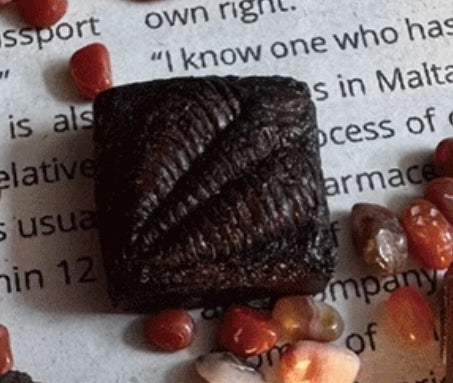 Hand-Carved Aged Fossil Keycaps - Unique Paleontology Artisan Keycaps for Mechanical Keyboards - Perfect for Typing Enthusiasts & Fossil Collectors