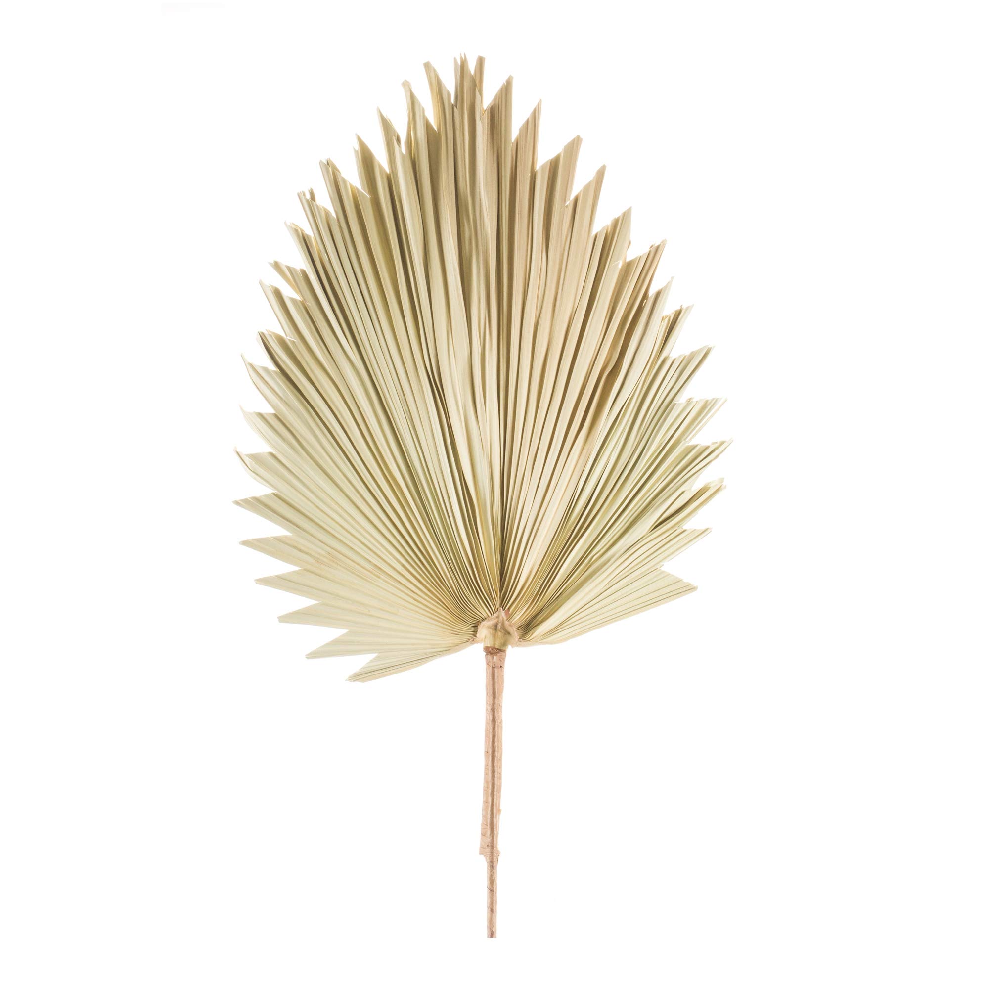 42-inch Natural Fan Palm Leaf Artificial Plant - Melrose 83227 for Home Decor, Office, Patio & Tropical Themed Parties