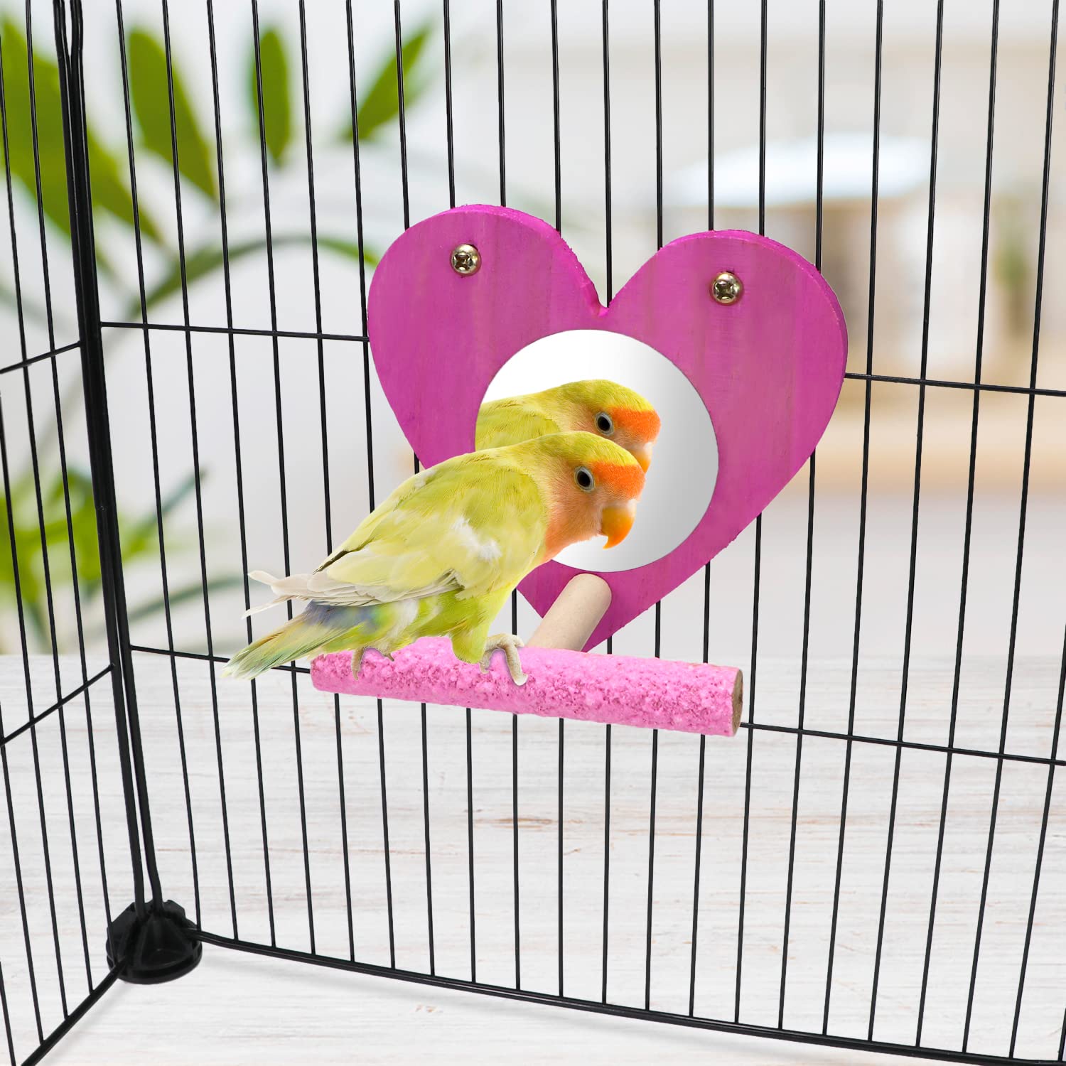 Colorful Wooden Bird Mirror with Perch - Natural Swing Toy for Parrots, Parakeets, Cockatiels, Lovebirds, Conures, Finches & Budgies - Perfect for Grooming, Play & Mental Stimulation in Bird Cages