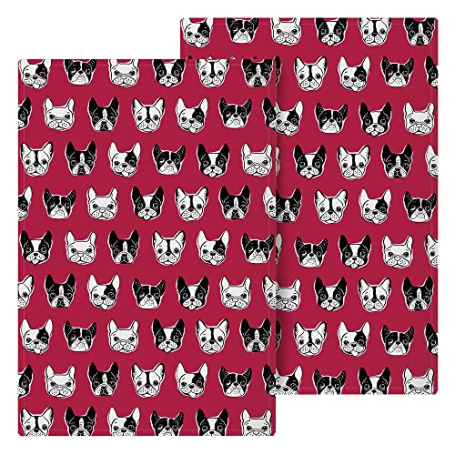 Canines