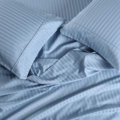 Light Blue Stripe