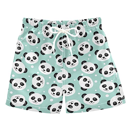 13-panda