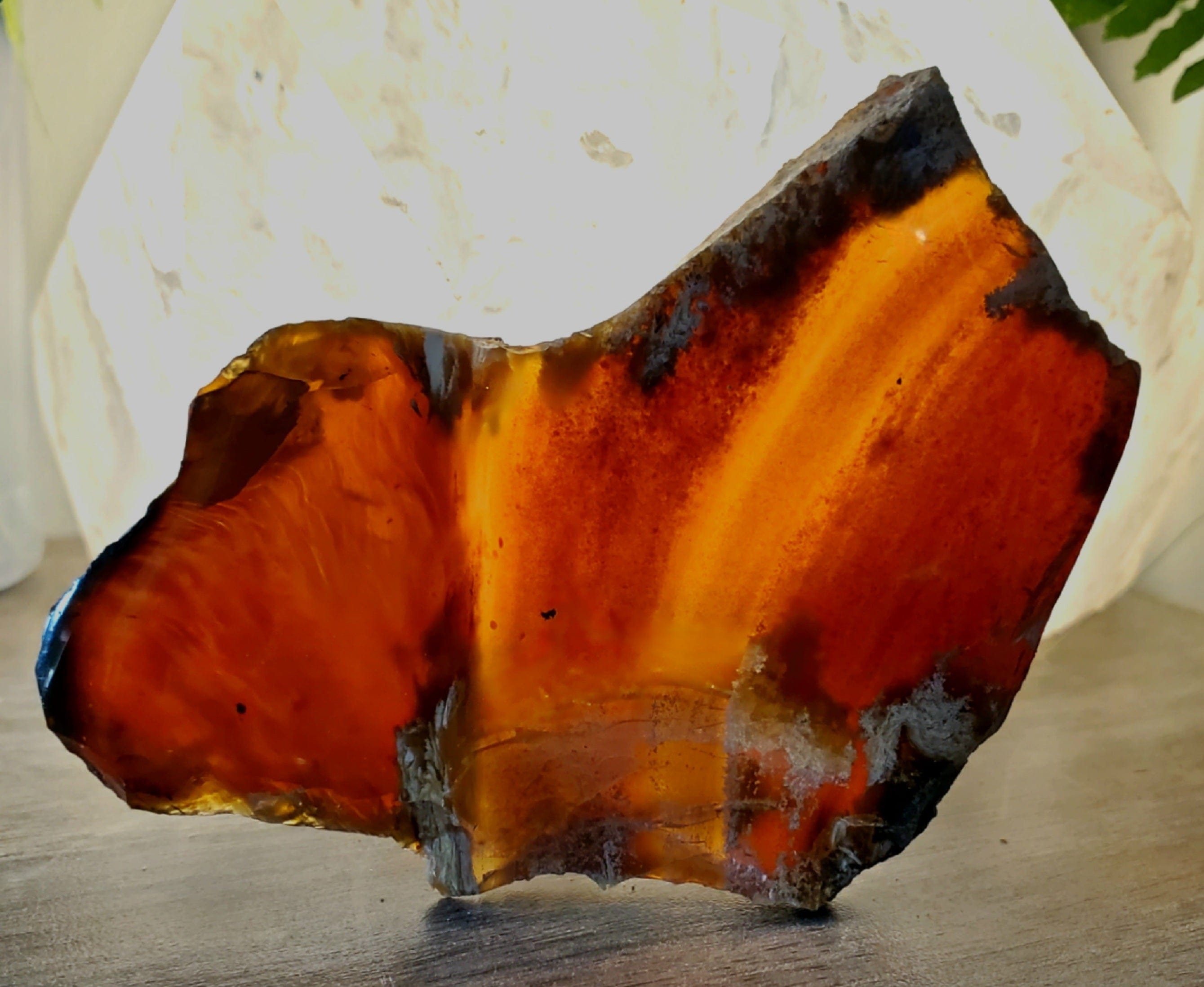 Natural Baltic Amber Slab - 4