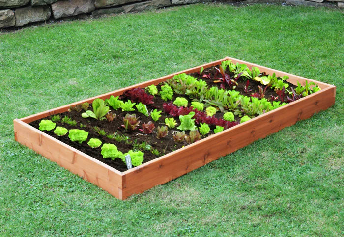 Regallion Raised Garden Bed Kit - 2-Tier Elevated Planter Box for Vegetables, Herbs & Flowers | Outdoor Gardening Solution for Patio, Backyard & Small Spaces