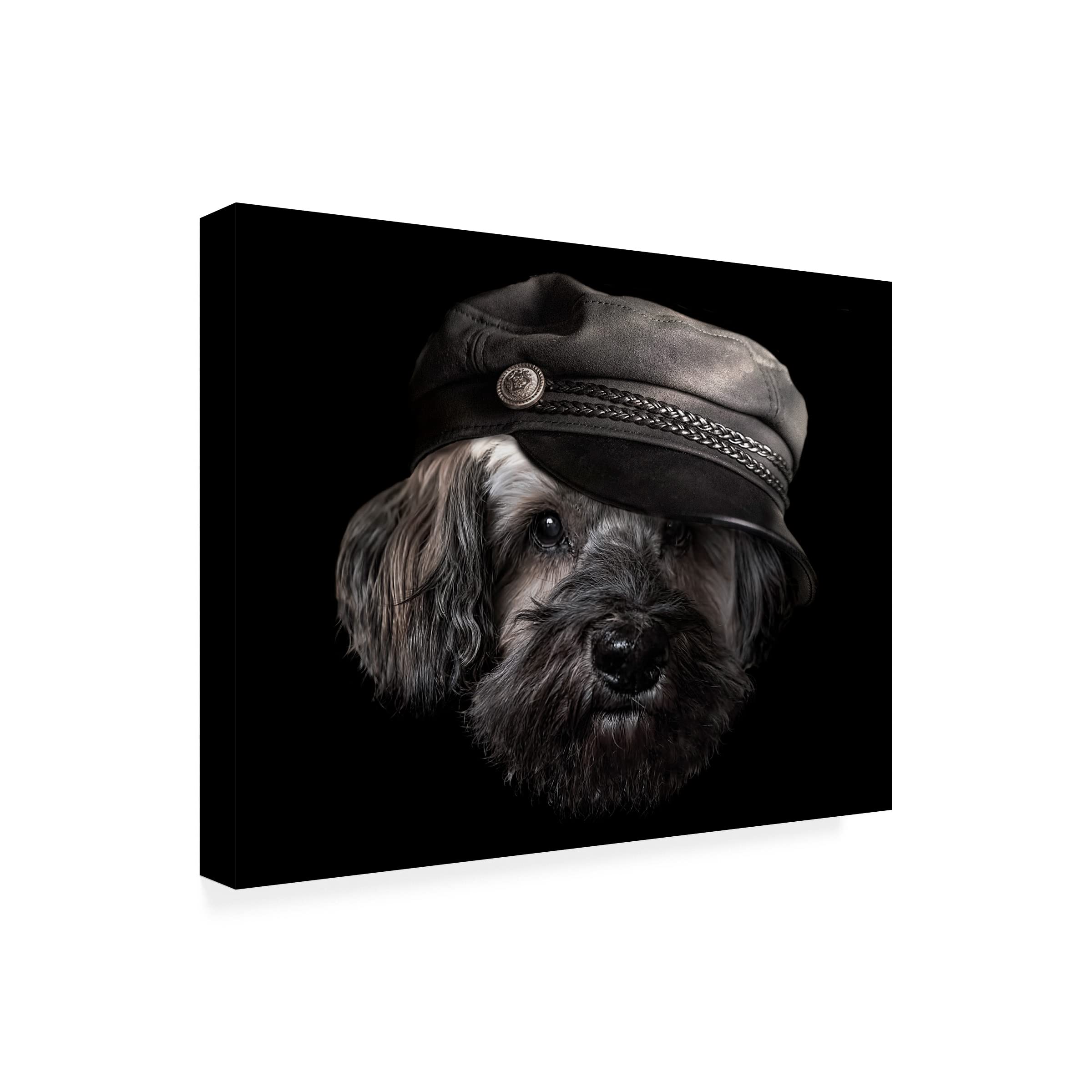 Trademark Fine Art 'Dog with Hat' Canvas Wall Art by Lori Hutchison - Perfect for Living Room, Bedroom & Office Decor