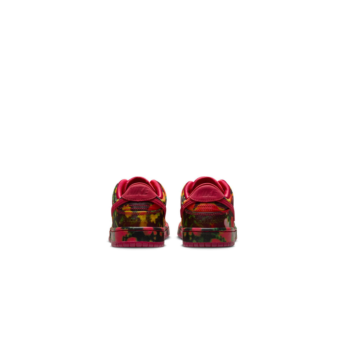 Wizard of Oz Kids SB Dunk Low Pro 'Poppy Fields' Sneakers - Dorothy Inspired Basketball Shoes for Boys & Girls - Perfect for Cosplay, Halloween Costumes, and School Fashion