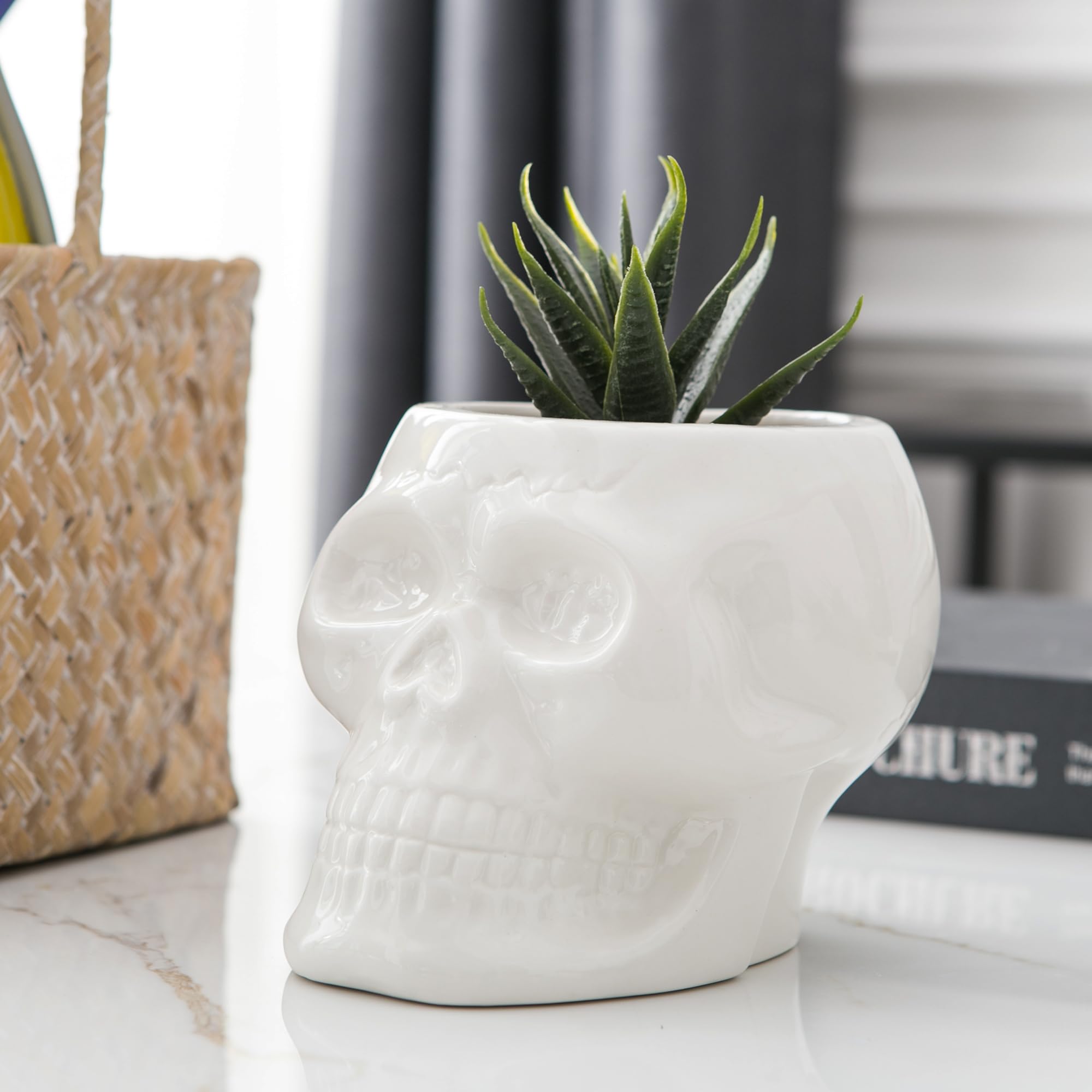 Skull Planter Pots & Skeleton Vase for Succulents & Flowers | Gothic Table Centerpiece | Punk Home Decor | Halloween & Day of The Dead Decorations - White | Perfect for Goth Home Decor, Halloween Parties & Succulent Displays