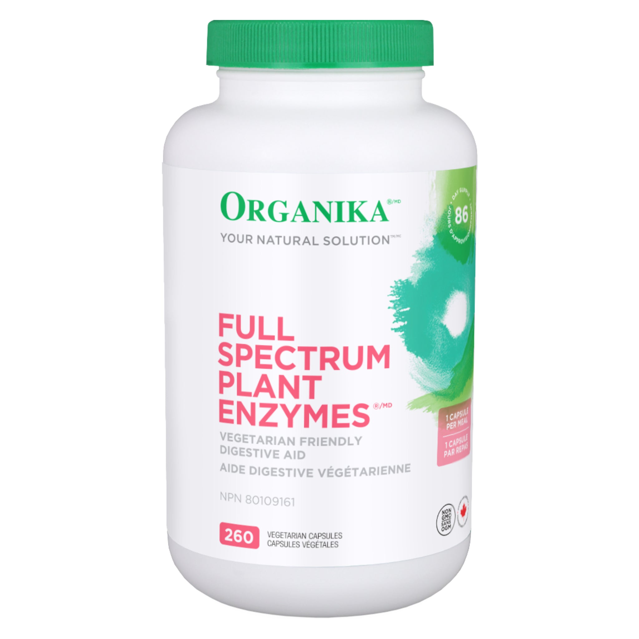 Premium Full Spectrum Plant Enzymes Supplement for Digestion & Gut Health - Supports Nutrient Absorption & Metabolism - Ideal for Vegan & Vegetarian Diets