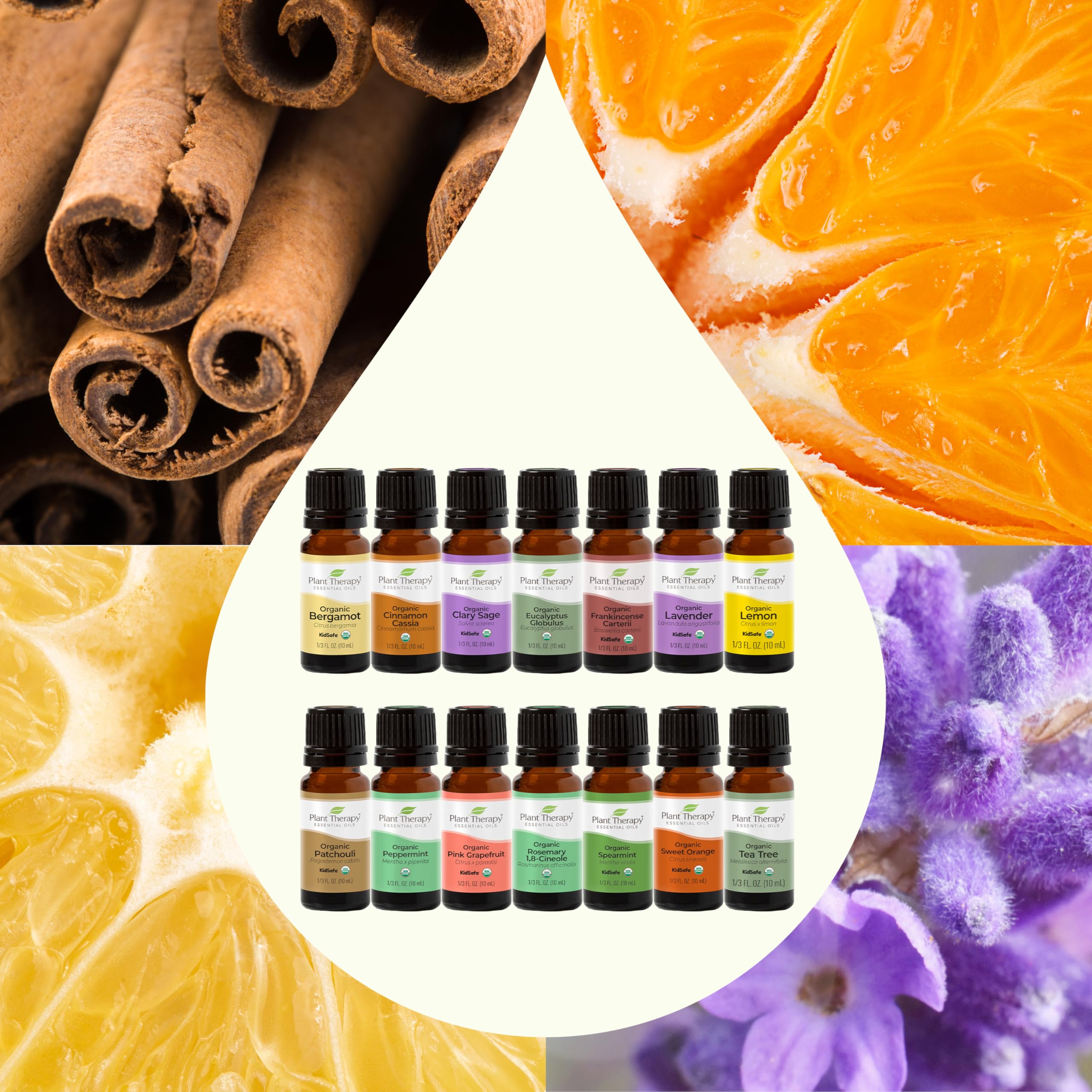 Plant Therapy Top 14 Organic Essential Oil Singles Set - 100% Pure, Undiluted Natural Aromatherapy Oils for Diffusers & Body Care - 10mL (1/3 oz) Each - Perfect for Relaxation, Stress Relief & Home Fragrance