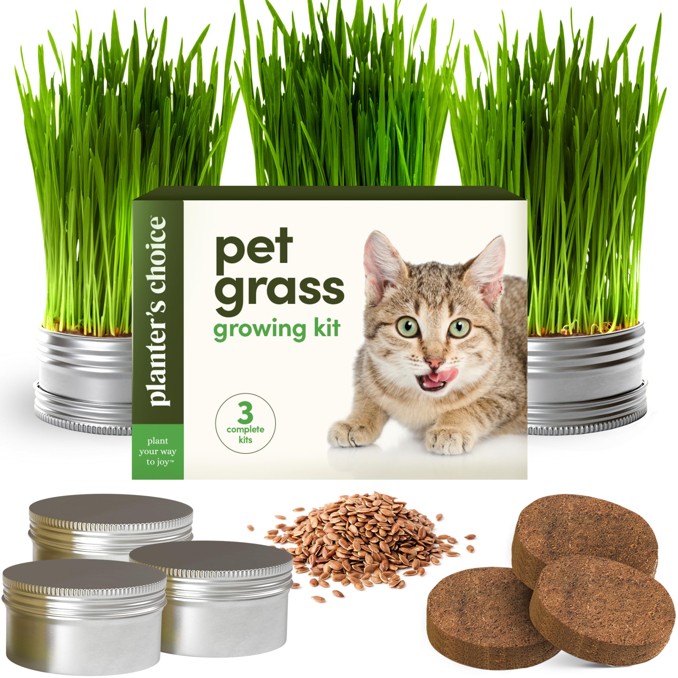 Organic Cat Grass Growing Kit for Indoor Cats - 3 Pack with Premium Seeds & Soil - Healthy Pet Grass Planter for Digestive Health - Perfect Gift for Cat Lovers (Use for Play, Digestion & Stress Relief)