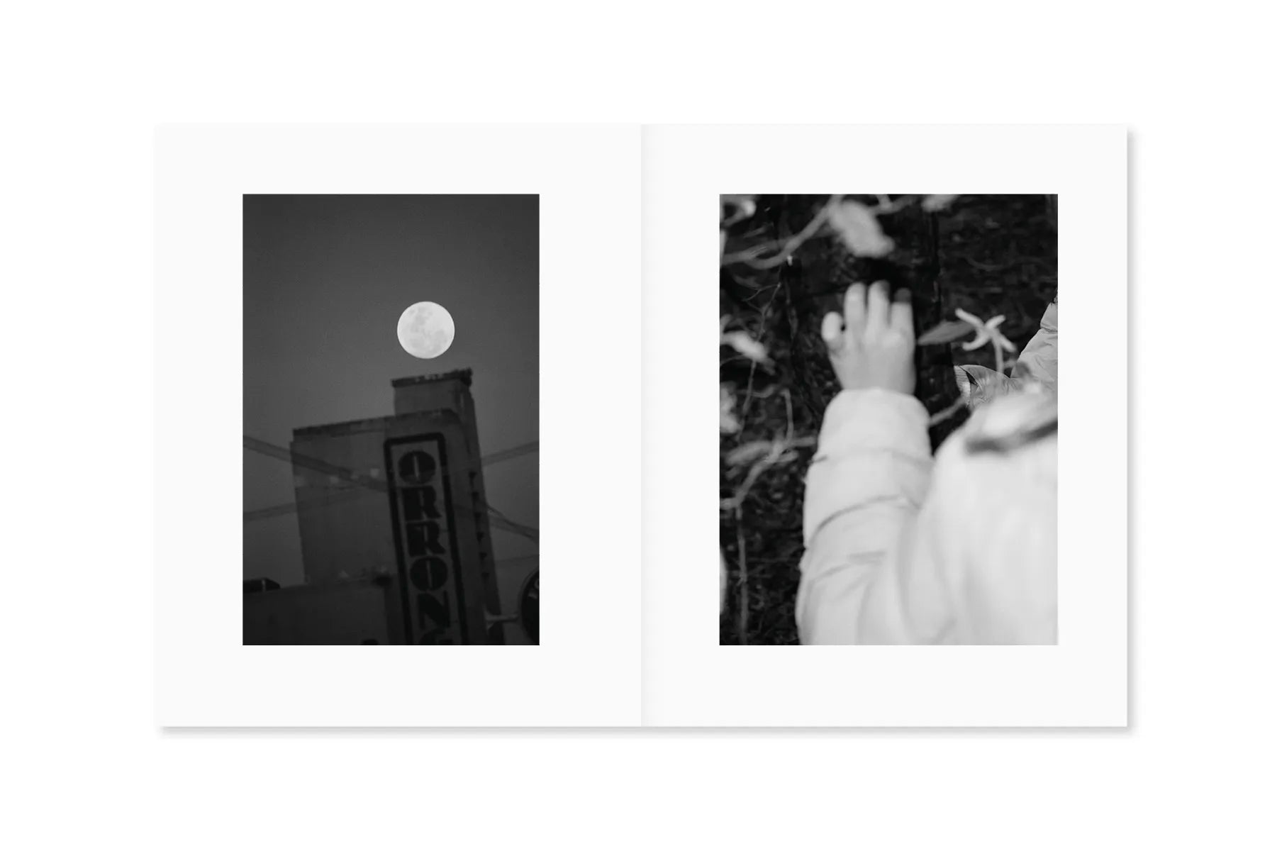 Between the Skin and Sea - Stunning Photography Book by Katrin Koenning | Perfect for Art Lovers, Coffee Table Decor & Photography Inspiration