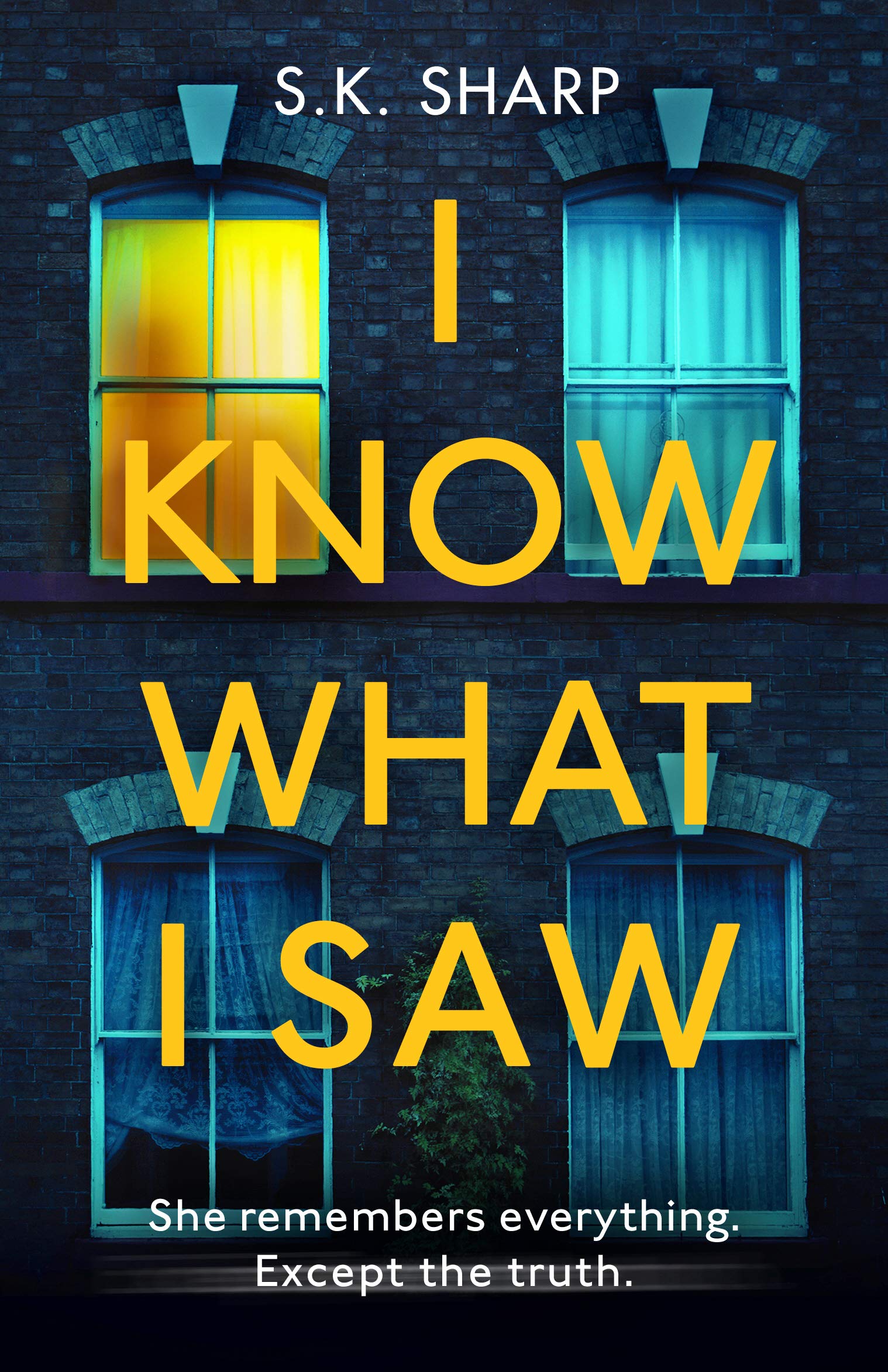 I Know What I Saw: A Psychological Thriller Novel About Perfect Memory and Murder Mystery | Crime Fiction for Book Clubs & Suspense Lovers