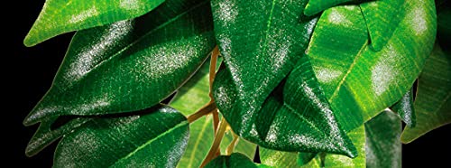 Exo Terra Medium Plastic Terrarium Plant - Croton - Realistic Fake Plants for Reptile Tanks, Vivariums & Terrarium Decor - Perfect for Bearded Dragons, Geckos & Snakes