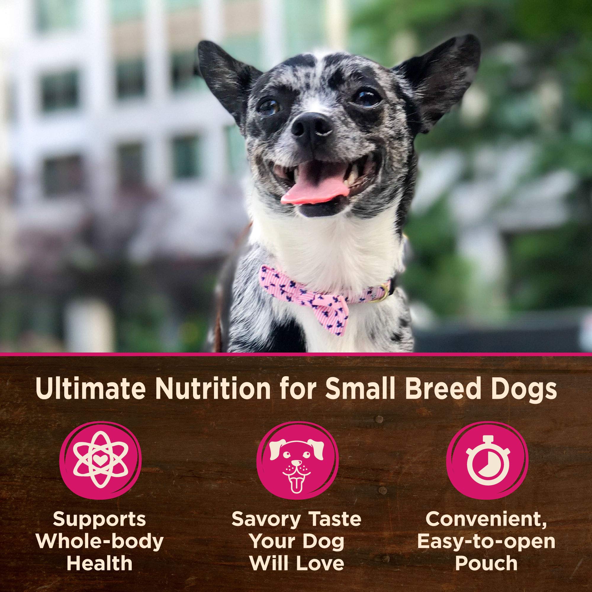 Wellness CORE Natural Grain Free Small Breed Mini Meals Pate Variety Pack - 12 Pack of 3oz Cans for Puppies & Small Dogs | High Protein, Digestive Health | Perfect for Travel, Training & Daily Feeding