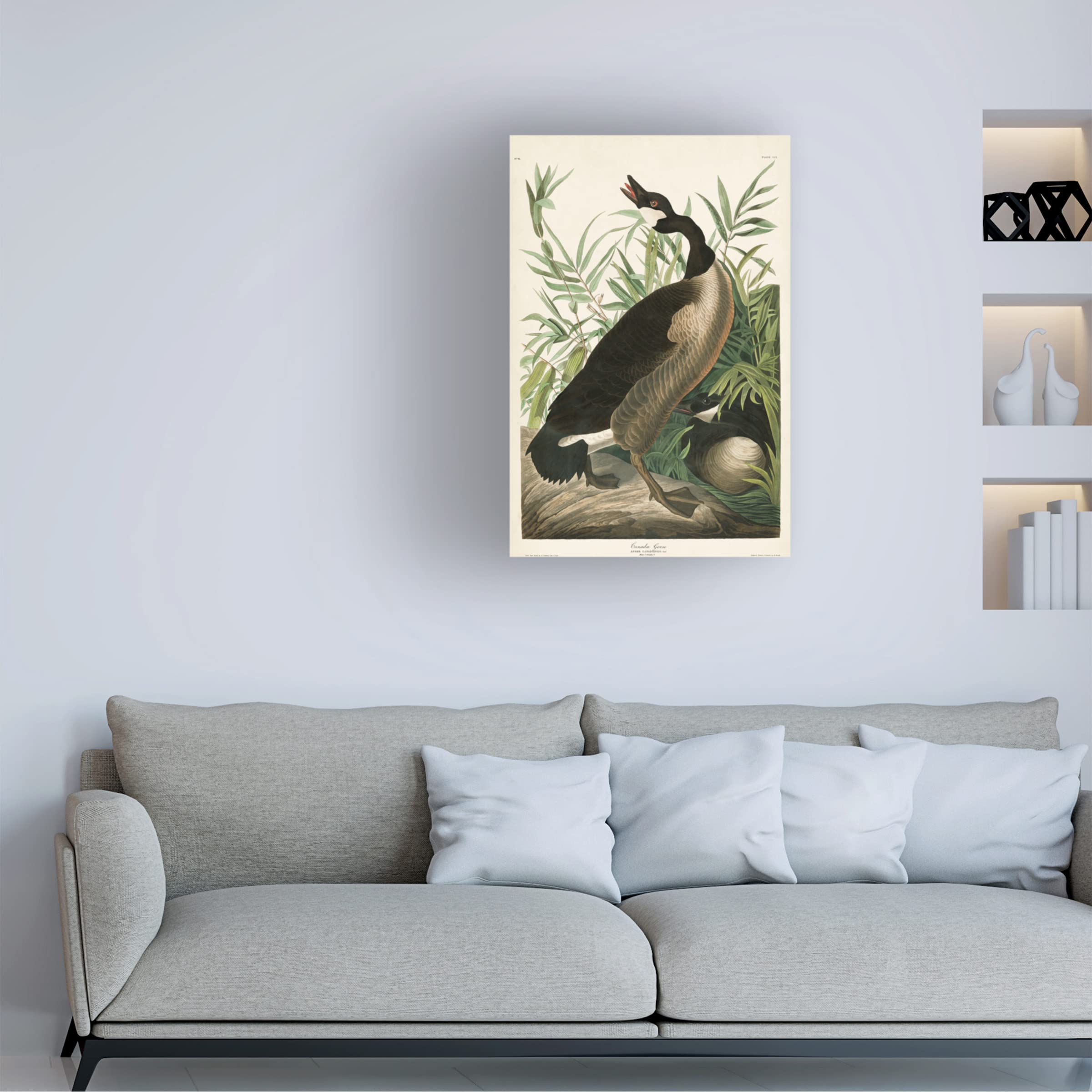 John James Audubon Canada Goose Fine Art Canvas Print 16x24 - Premium Wildlife Wall Decor for Living Room, Office & Cabin