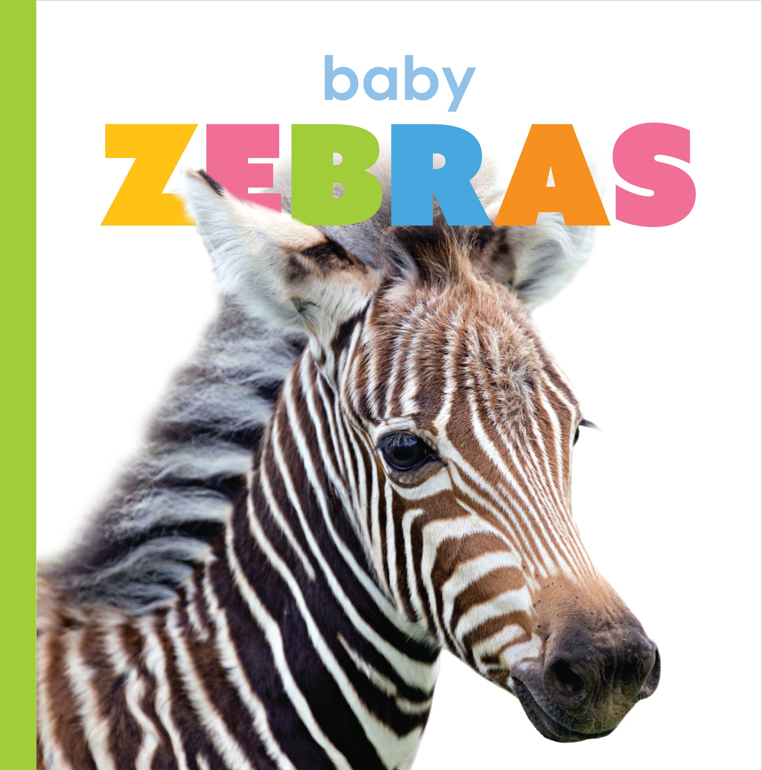 Baby Zebras Book - 9781640263574 - Fun Animal Stories for Kids, Perfect for Bedtime Reading & Early Learning