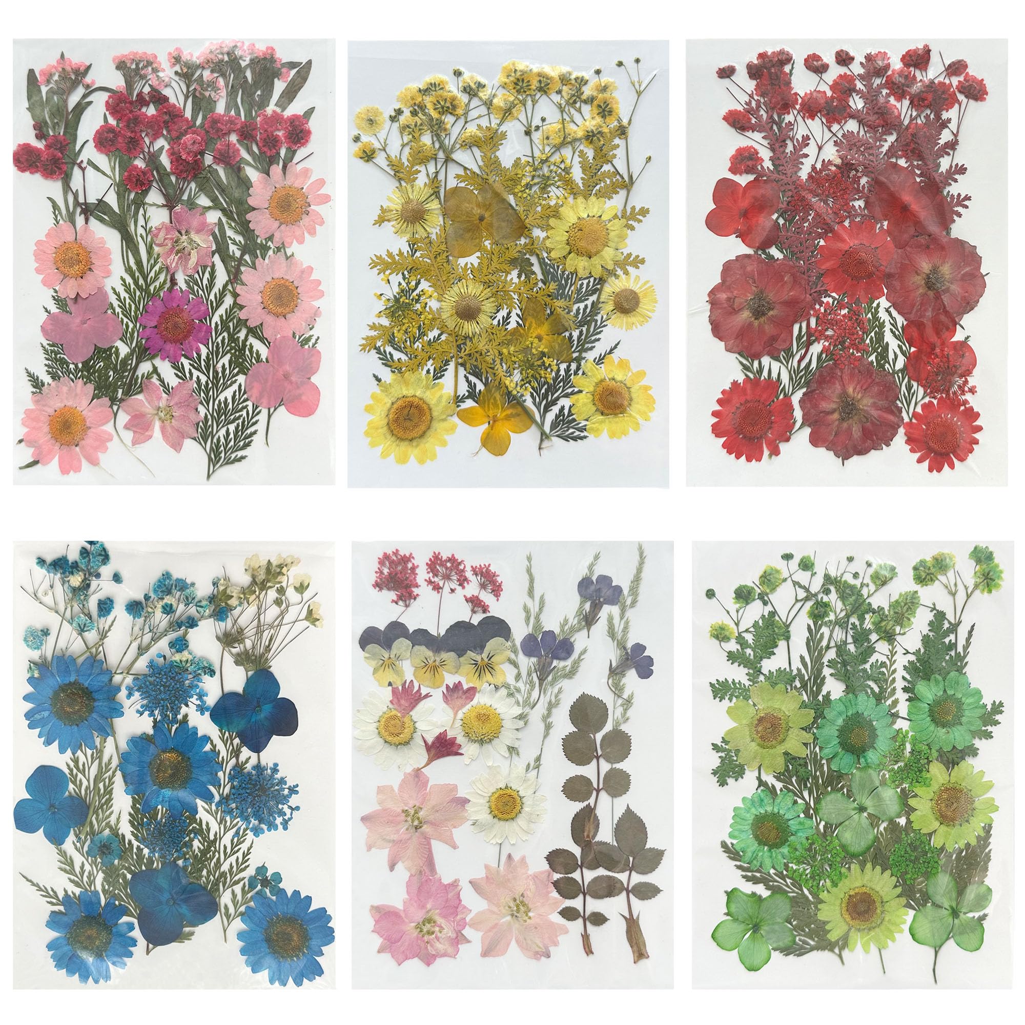Woohome 126PCS Real Pressed Flowers Kit - Natural Dried Pressed Flowers for Resin Art, Nail Art, Scrapbooking, Candle & Jewelry Making - Premium Resin Craft Supplies for DIY Projects & Home Decor