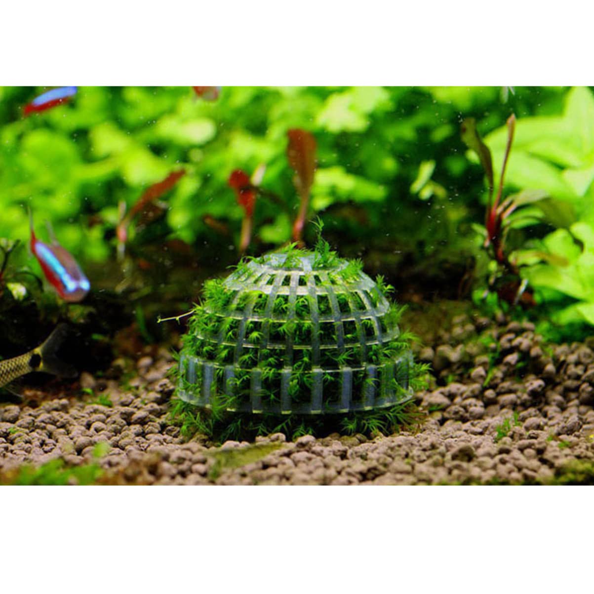 POPETPOP Aquarium Ball Holder - Plastic Fish Tank Plant Holder for Aquatic Plants, Submerged or Floating Decor - Perfect for Shrimp & Fish Tanks | Ideal for Aquascaping & Underwater Landscaping