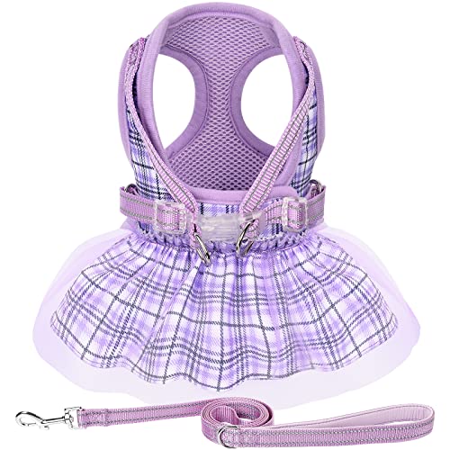 Purple Harness+Rope