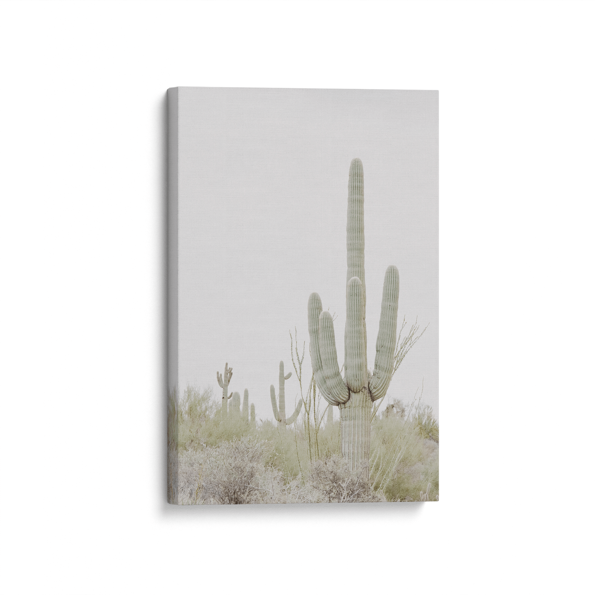 Desert Cactus Wall Art - Hand Painted Canvas Print for Home & Office Decor - Perfect for Living Room, Bedroom, or Southwestern Style Interior Design