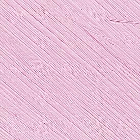 Dianthus Pink