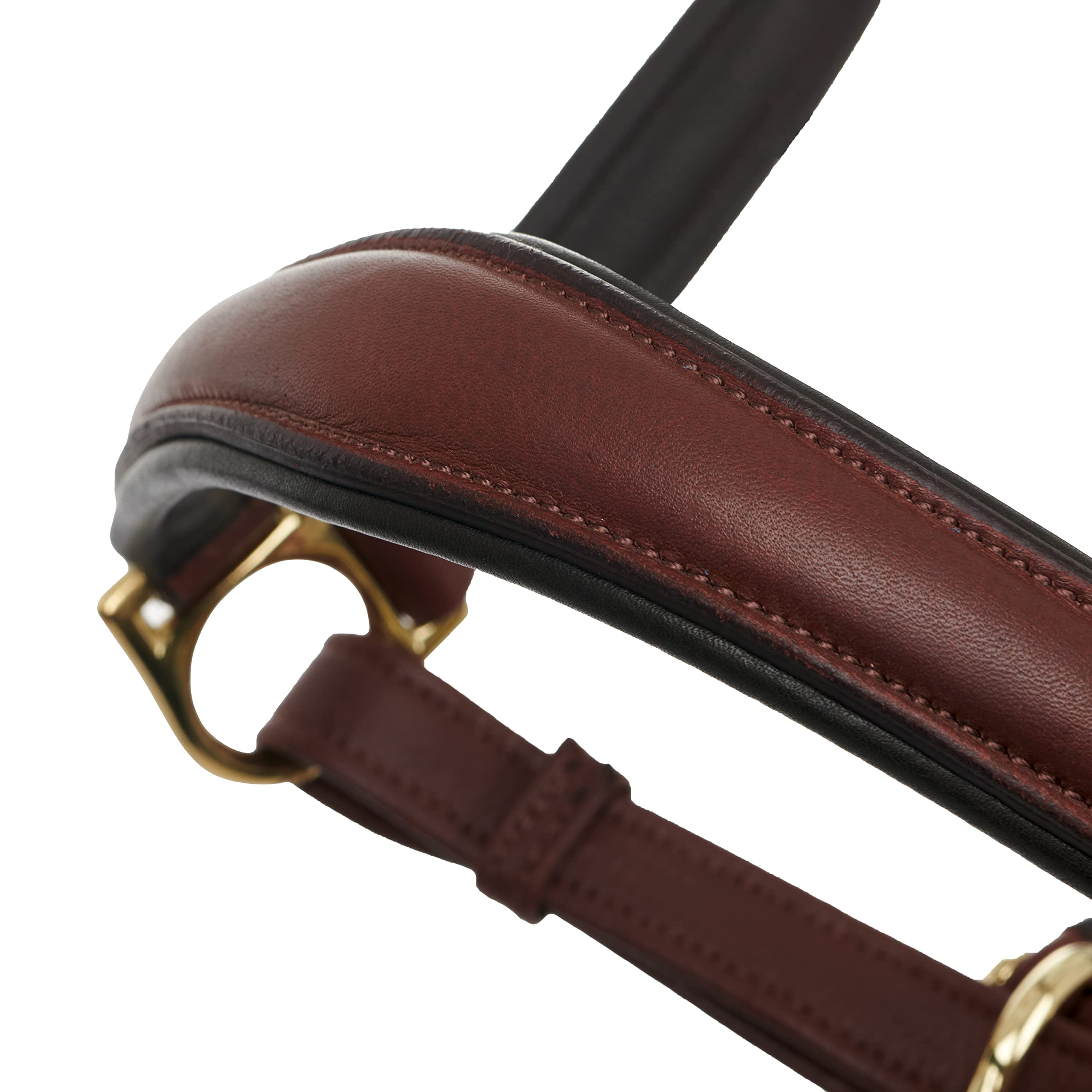 LeMieux Anatomic Padded Leather Horse Headcollar with Metal Fittings - Adjustable Size for Comfort & Control - Perfect for Training, Grooming & Stable Use