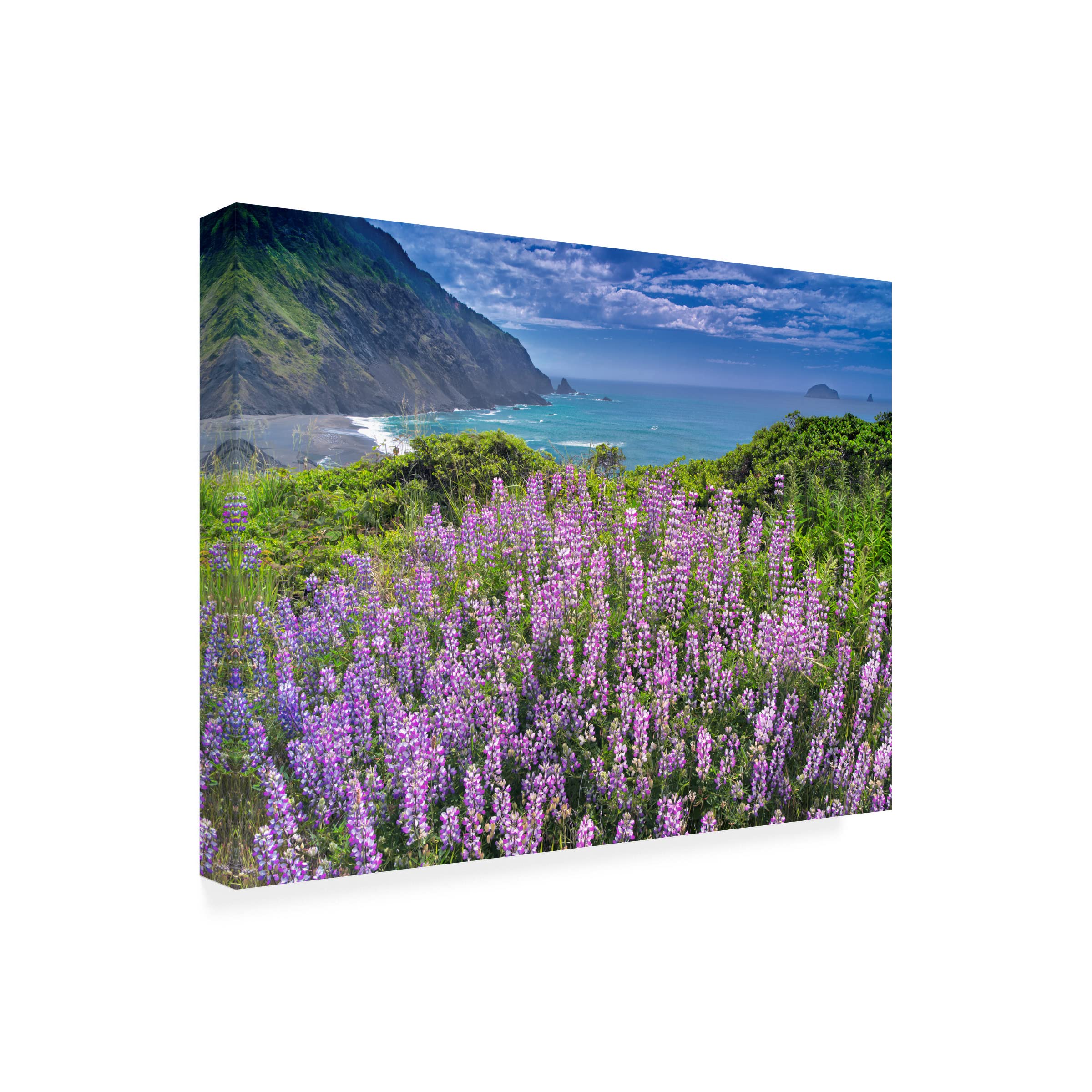 Dennis Frates 'Sea Grass 5' Canvas Wall Art Print - Coastal Beach Decor for Living Room, Bedroom & Office