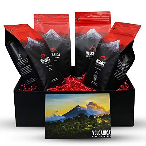Premium Flavored Coffee Gift Box - Fresh Roasted Ground Coffee (4 x 16oz) - Caramel Chocolate, French Vanilla, Hazelnut & Pumpkin Spice - Perfect for Holidays, Office Gifts & Coffee Lovers