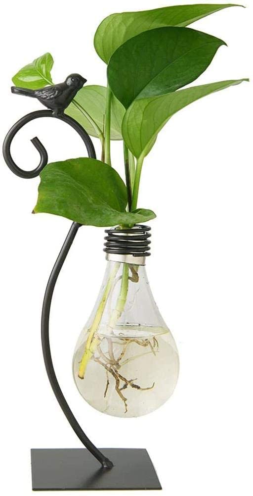 NENYAO Modern Glass Planter - Hydroponic Vase & Terrarium Stand for Plants | Creative Bird-Shaped Bulb Planter with Holder | Perfect for Home Office Desk Decor, Indoor Gardening & Gift Ideas