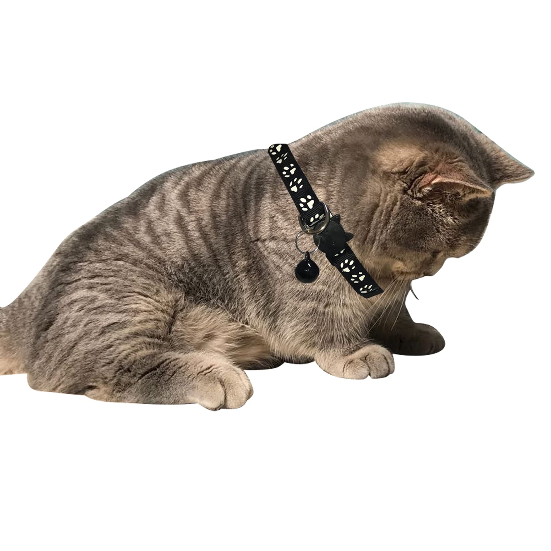 Breakaway Cat Collars with Bell - Reflective & Nylon Pet Collars for Cats & Puppies (2 Black + 2 Sky Blue) - Safe & Stylish for Day & Night Use