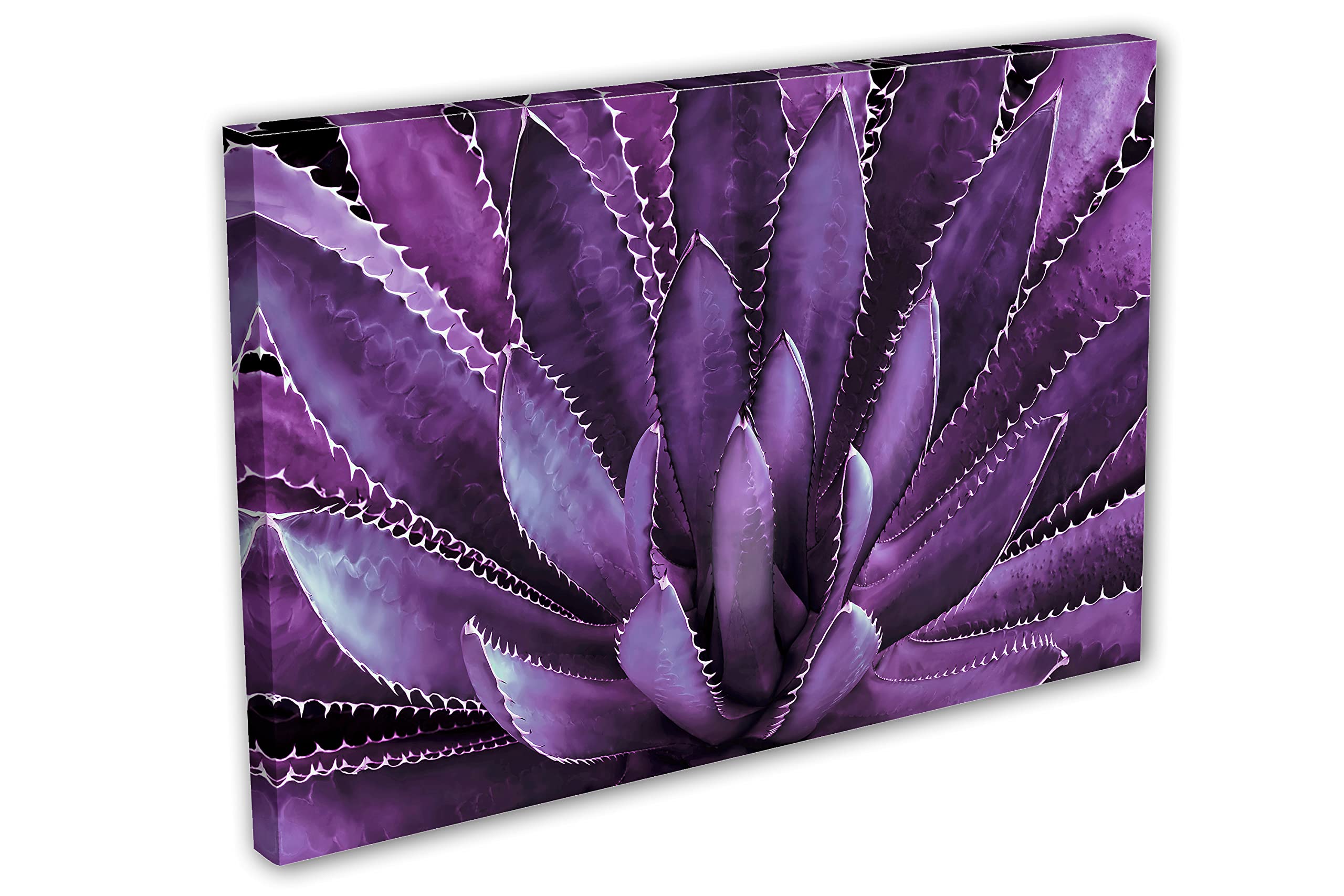30x20 Agave Plant Canvas Print Wall Art - Lavender Botanical Decor, Tequilana Plant Artwork for Home, Office & Living Room Decor