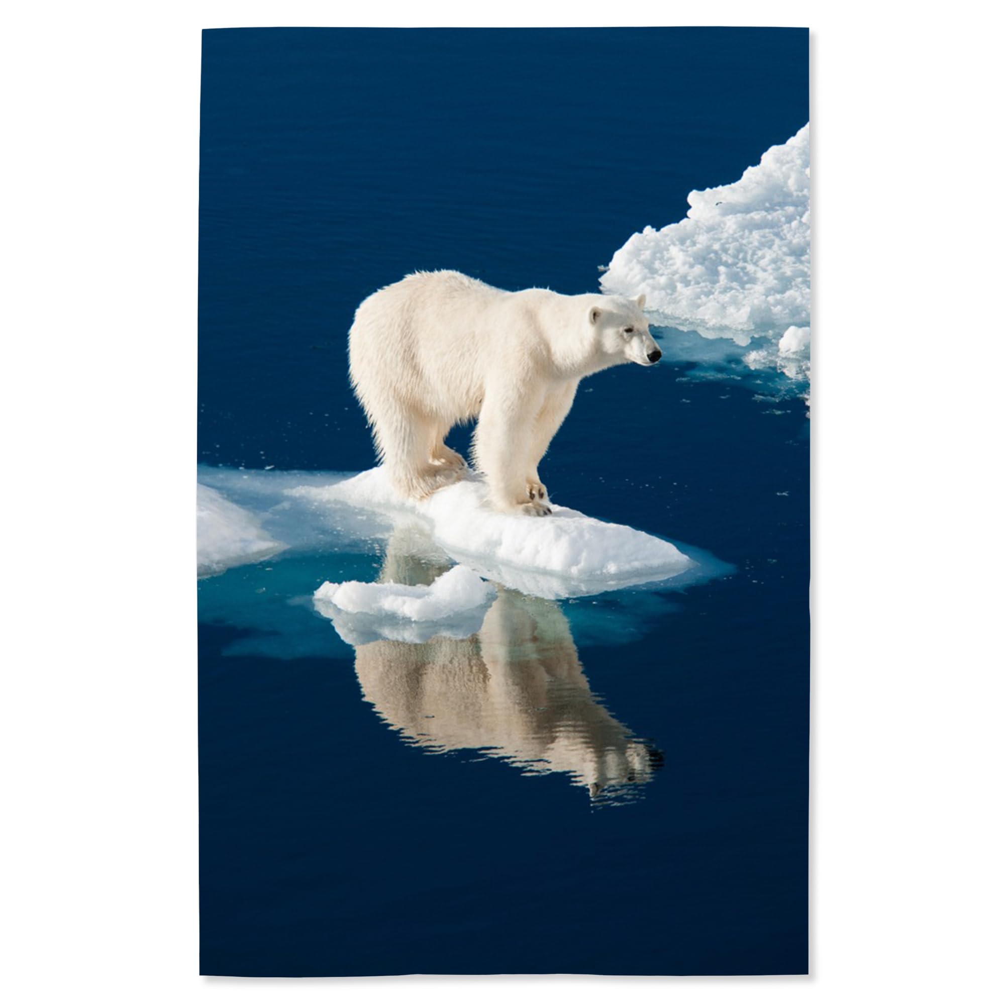 Lantern Press 16x24 Inch Polar Bear and Reflection Giclee Art Print - Premium Wall Decor for Living Room, Bedroom & Office