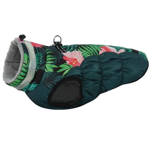 Hibiscus green
