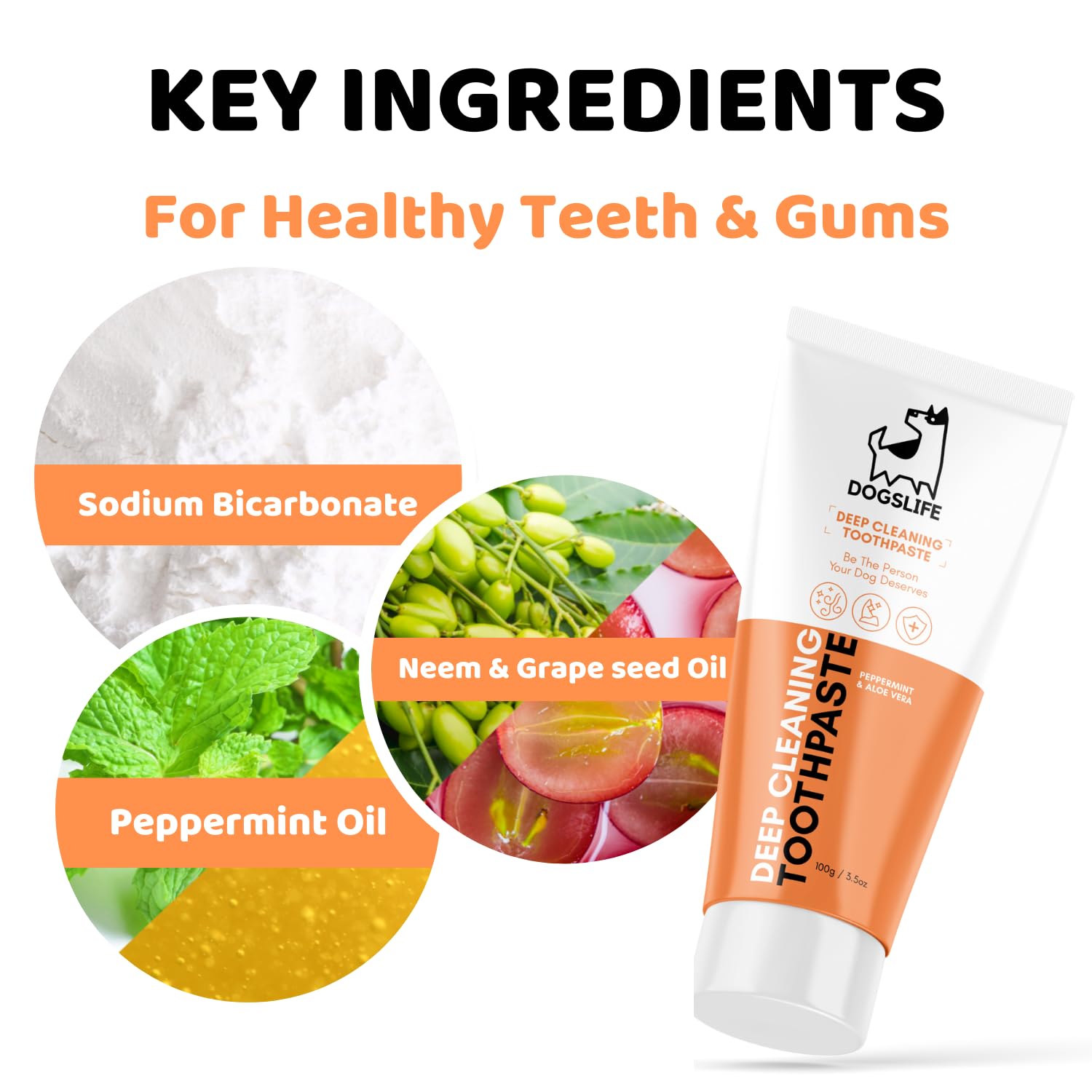 **Triple-Headed Dog Toothbrush & 100% Natural Toothpaste Set – Vet-Approved Dental Kit for Deep Cleaning, Freshens Breath & Removes Plaque – Perfect for Daily Dog Oral Care at Home**