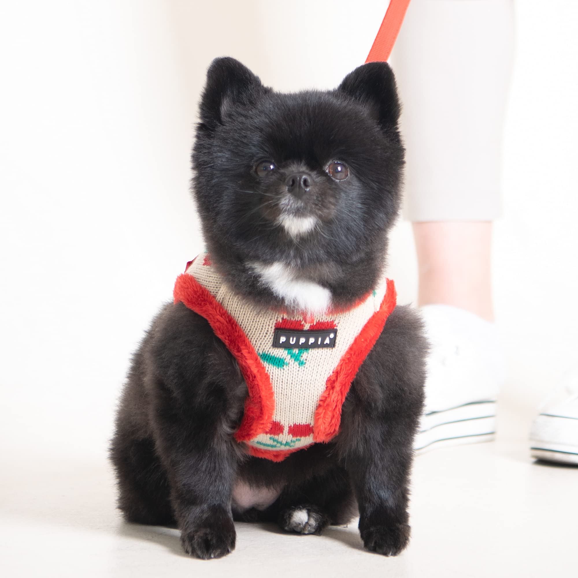 Puppia Cheryl Harness A - Red - Small | Adjustable Dog Harness for Small Dogs | Perfect for Walking, Hiking & Outdoor Adventures