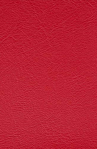 Kawasaki Jet Ski Replacement Seat Cover - Compatible with 2006-2008 STX 12F & 2006-2017 STX 15F - Durable Red Vinyl - Perfect for Water Sports & Jet Ski Maintenance