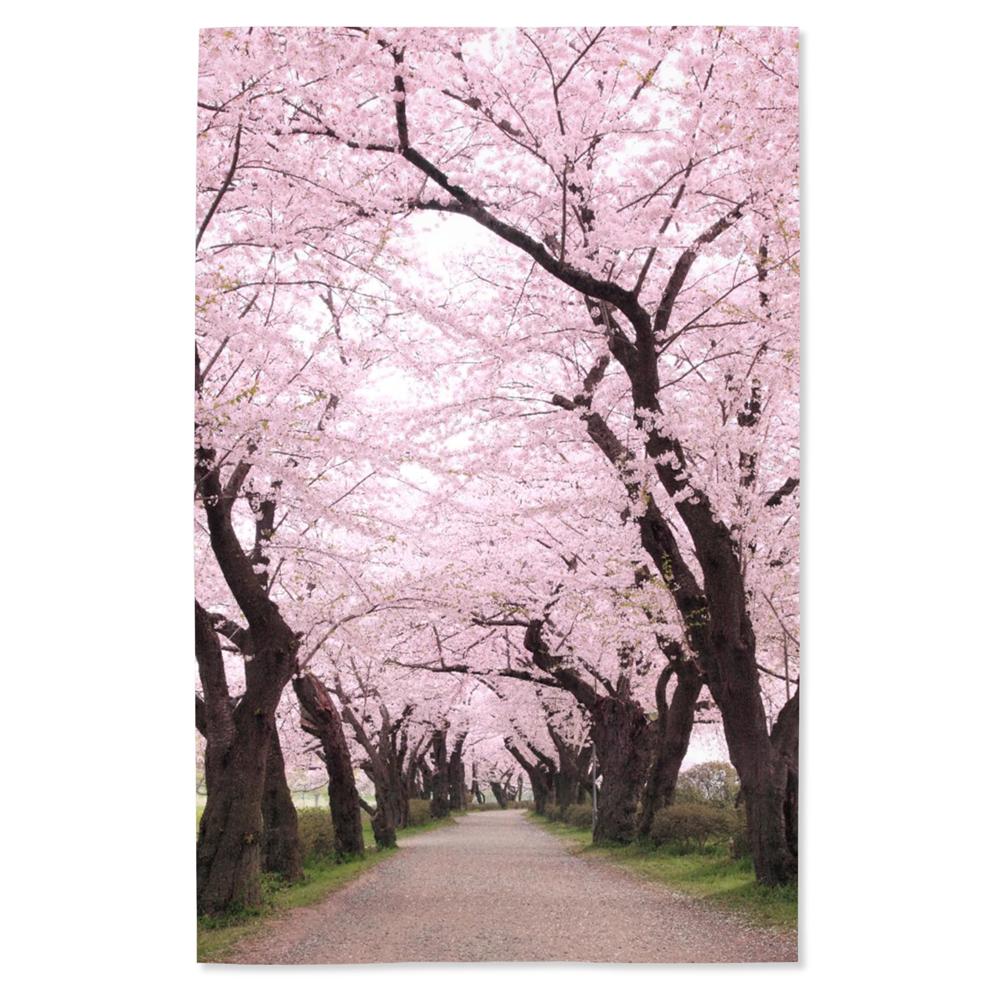 Lantern Press 16x24 Inch Cherry Blossom Giclee Art Print - Premium Wall Decor for Living Room, Bedroom & Office - Spring Floral Landscape Painting Home Decoration