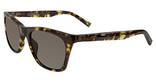 Olive Tortoise