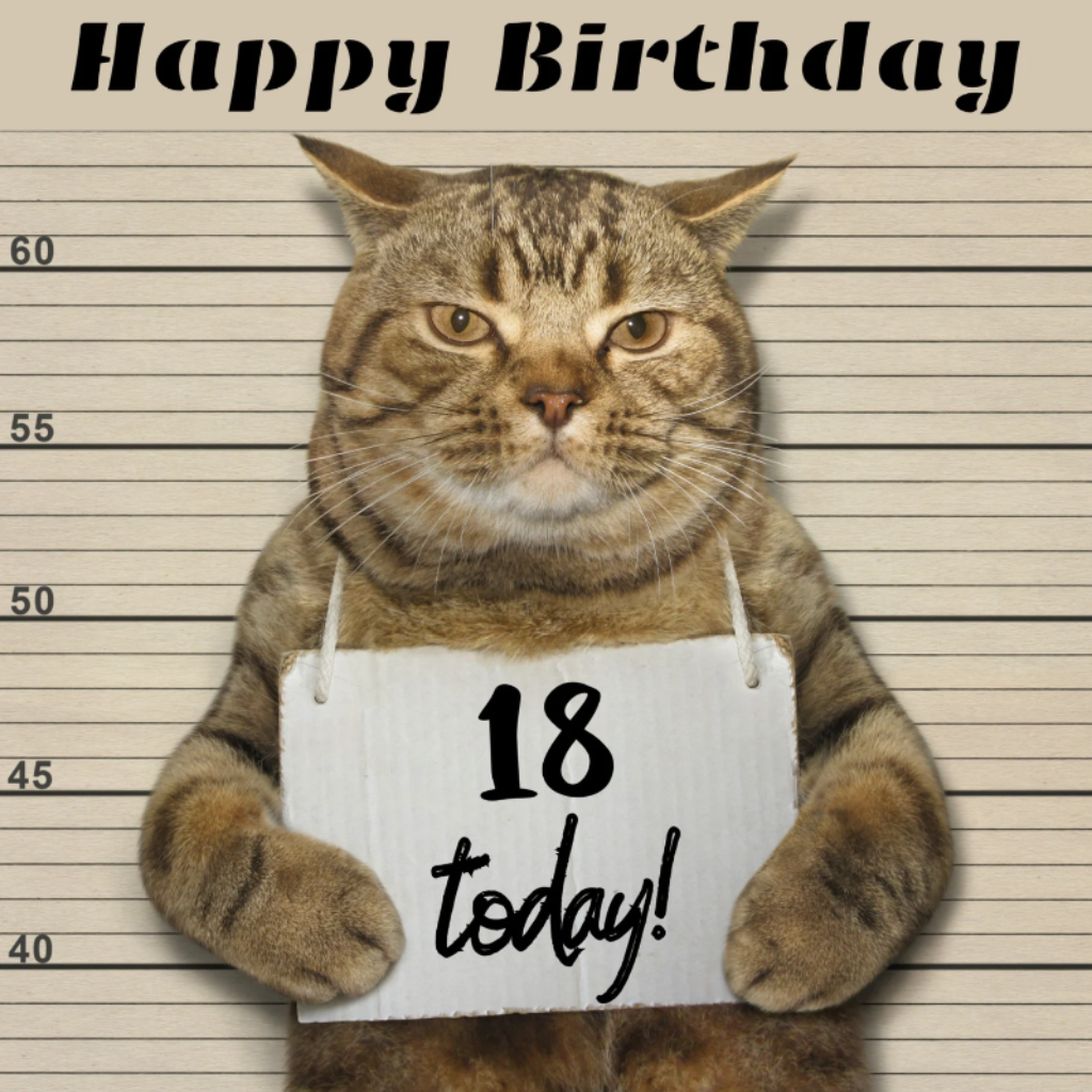 Funny 18th Birthday Card for Cat Lovers - Moggie Mugshot Greeting Card | Perfect for Milestone Birthdays & Cat-Themed Parties