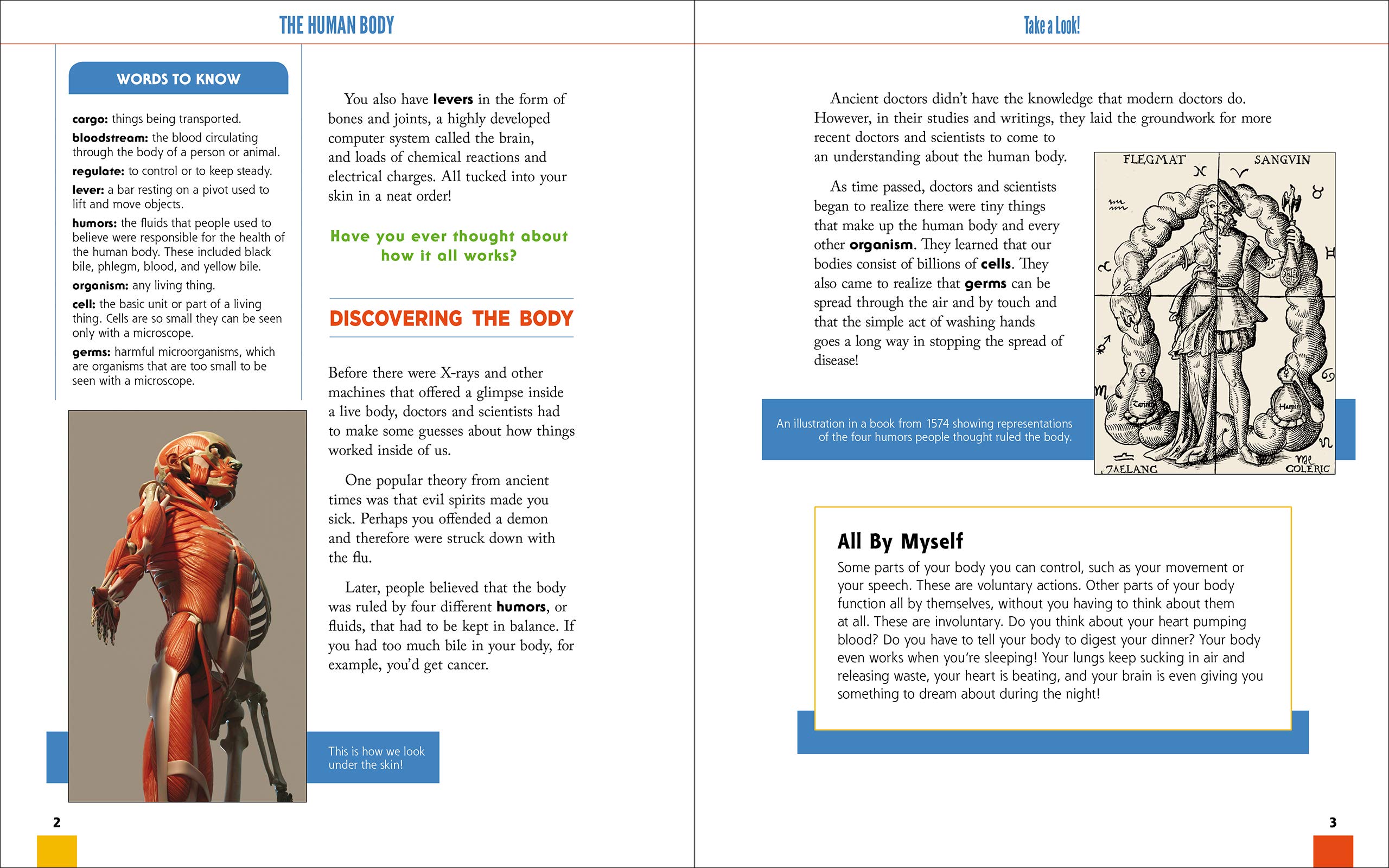 The Human Body for Kids: Science Activities & Experiments to Explore Under the Skin | Fun STEM Learning for Home & Classroom
